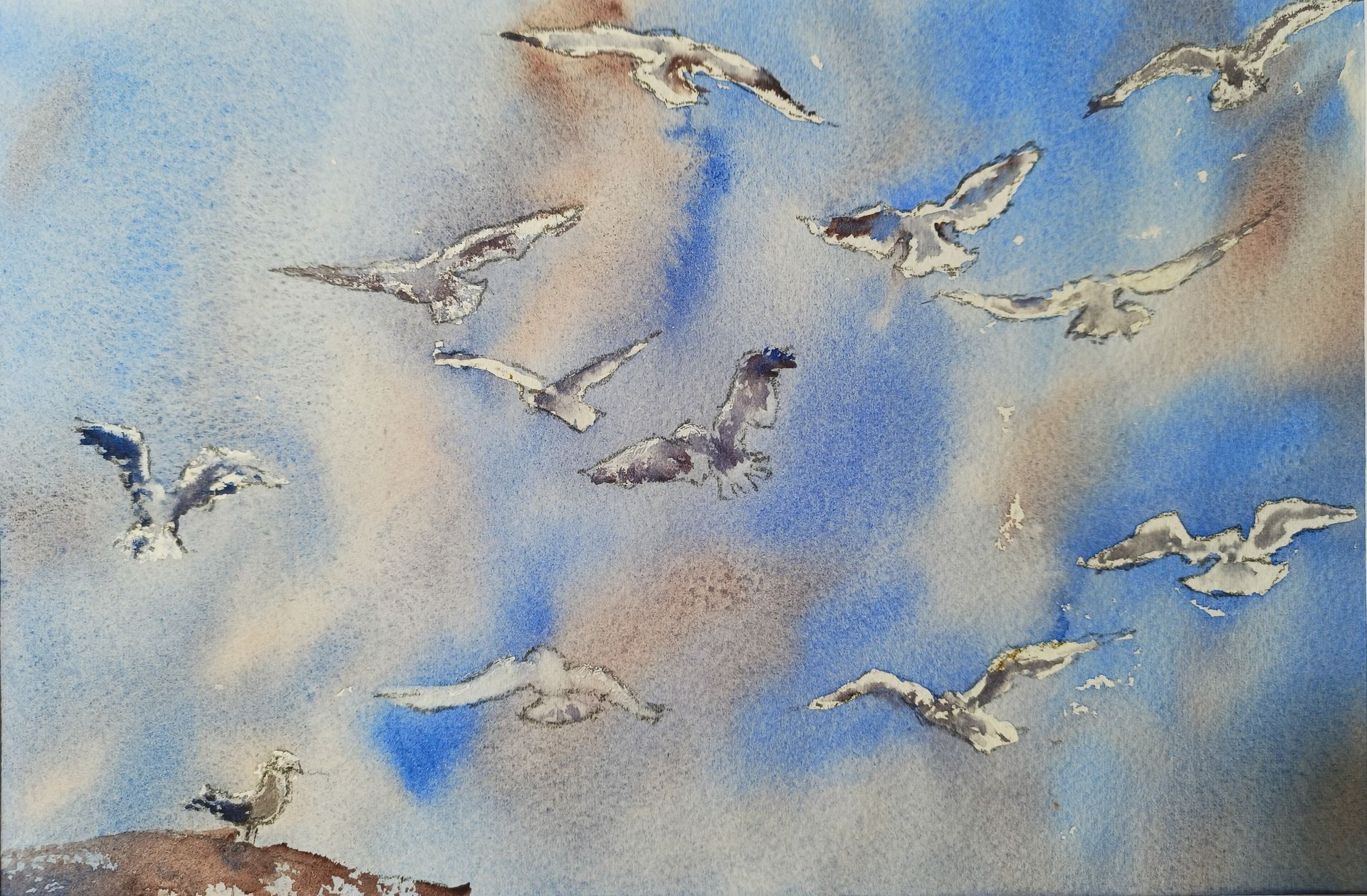 Birds in flight Birds in flight