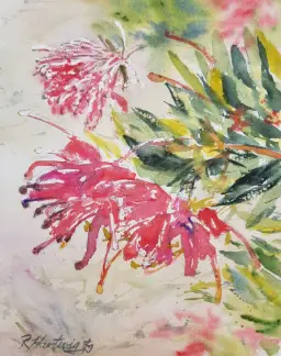 red grevillea watercolour painting