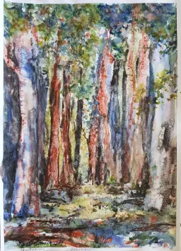 tree trunks watercolour painting