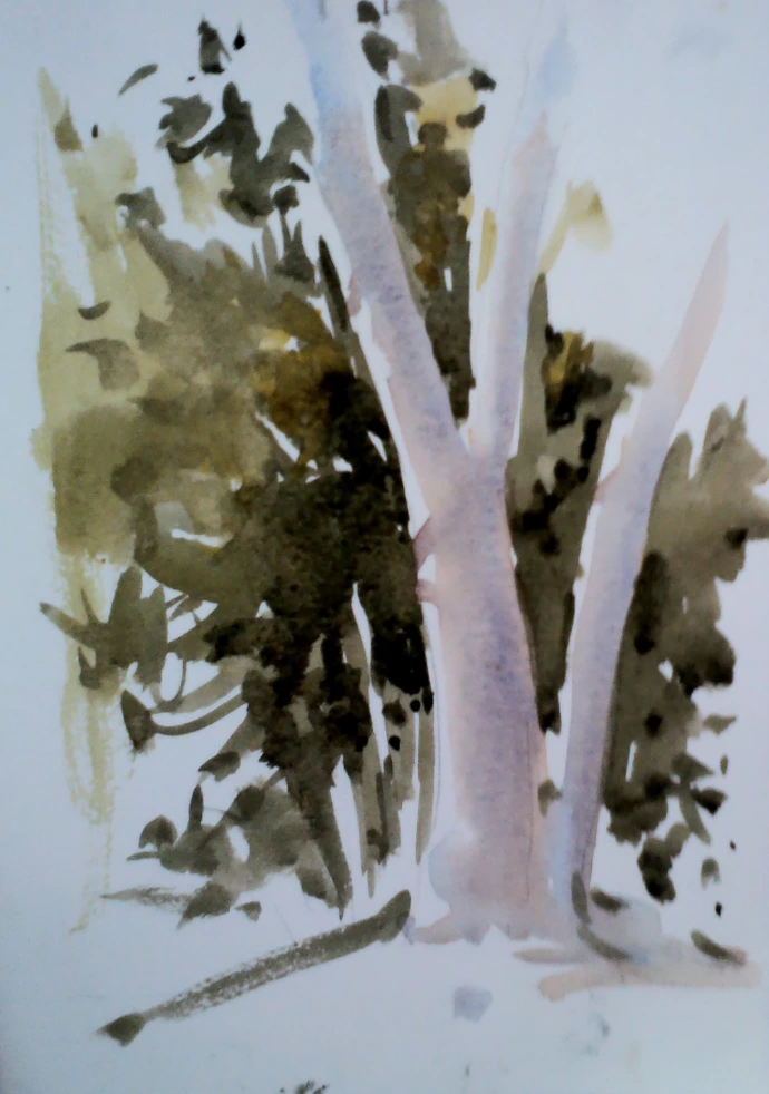 white gum watercolour painting