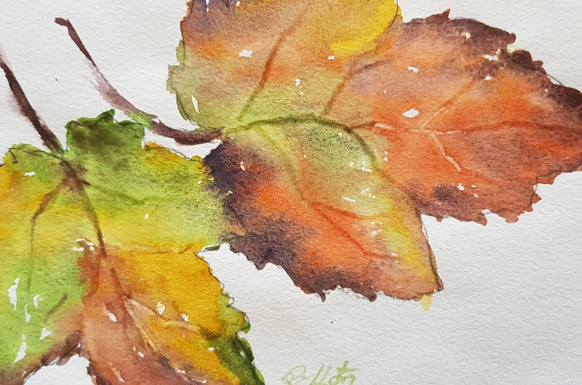 autumn leaf watercolour painting