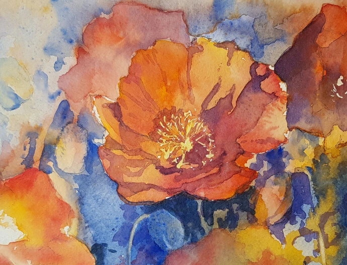 orange flower watercolour painting