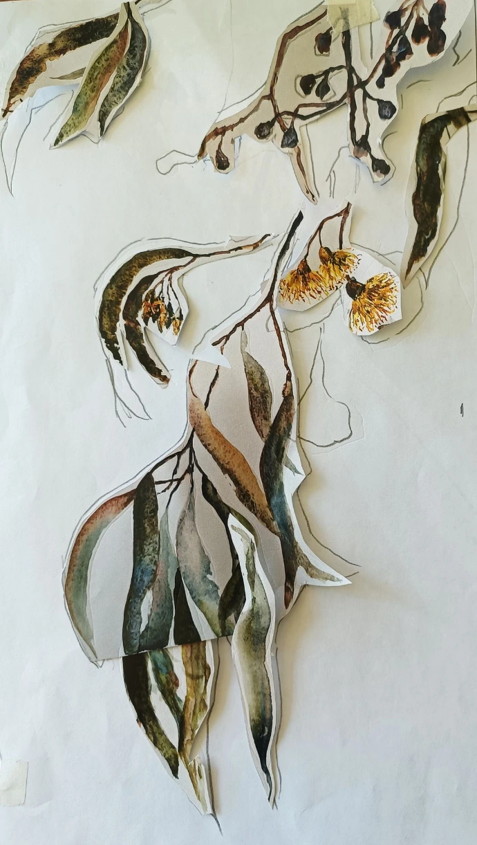 gum leaves watercolour painting 1