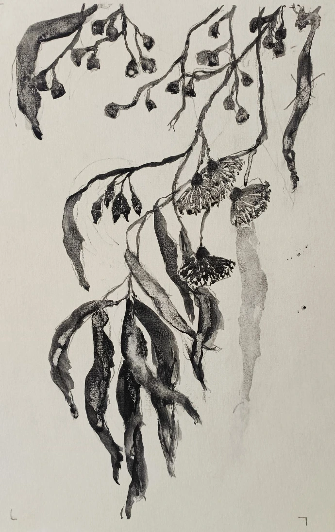 gum leaves ink and wash painting 2