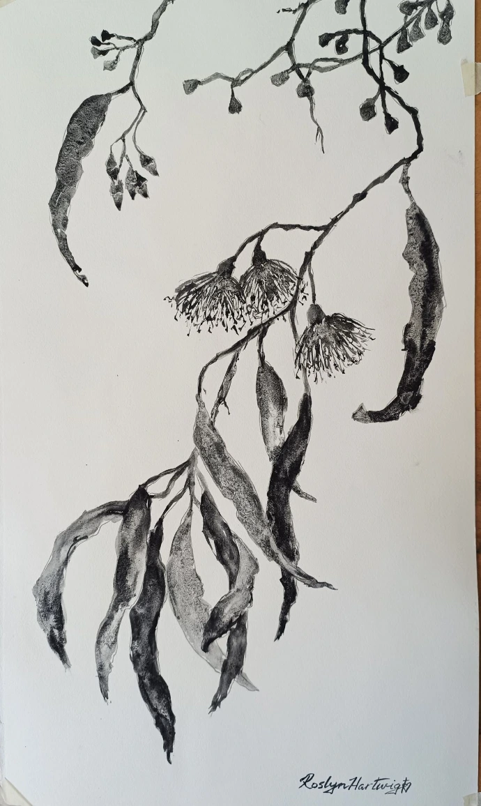 gum leaves ink and wash painting 1