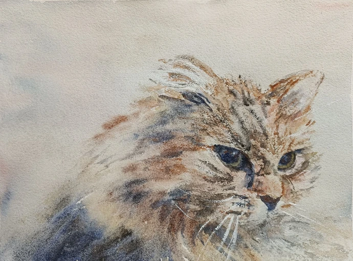 expressive fluffy persian cat watercolour head portrait 