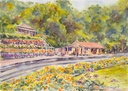 'Essence of Toowoomba' Pack 2 - Post Card
