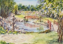 'Essence of Toowoomba' Pack 1 - Post Card