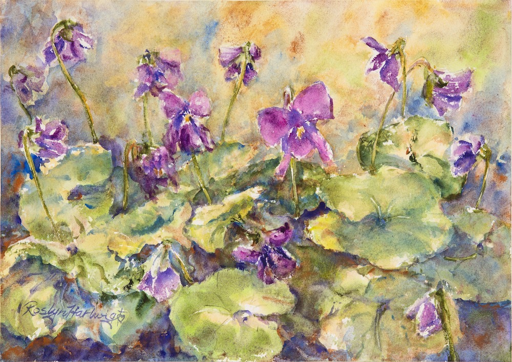 [EOT18A4] 'Toowoomba Violets' - Print #18 (A4 Print)