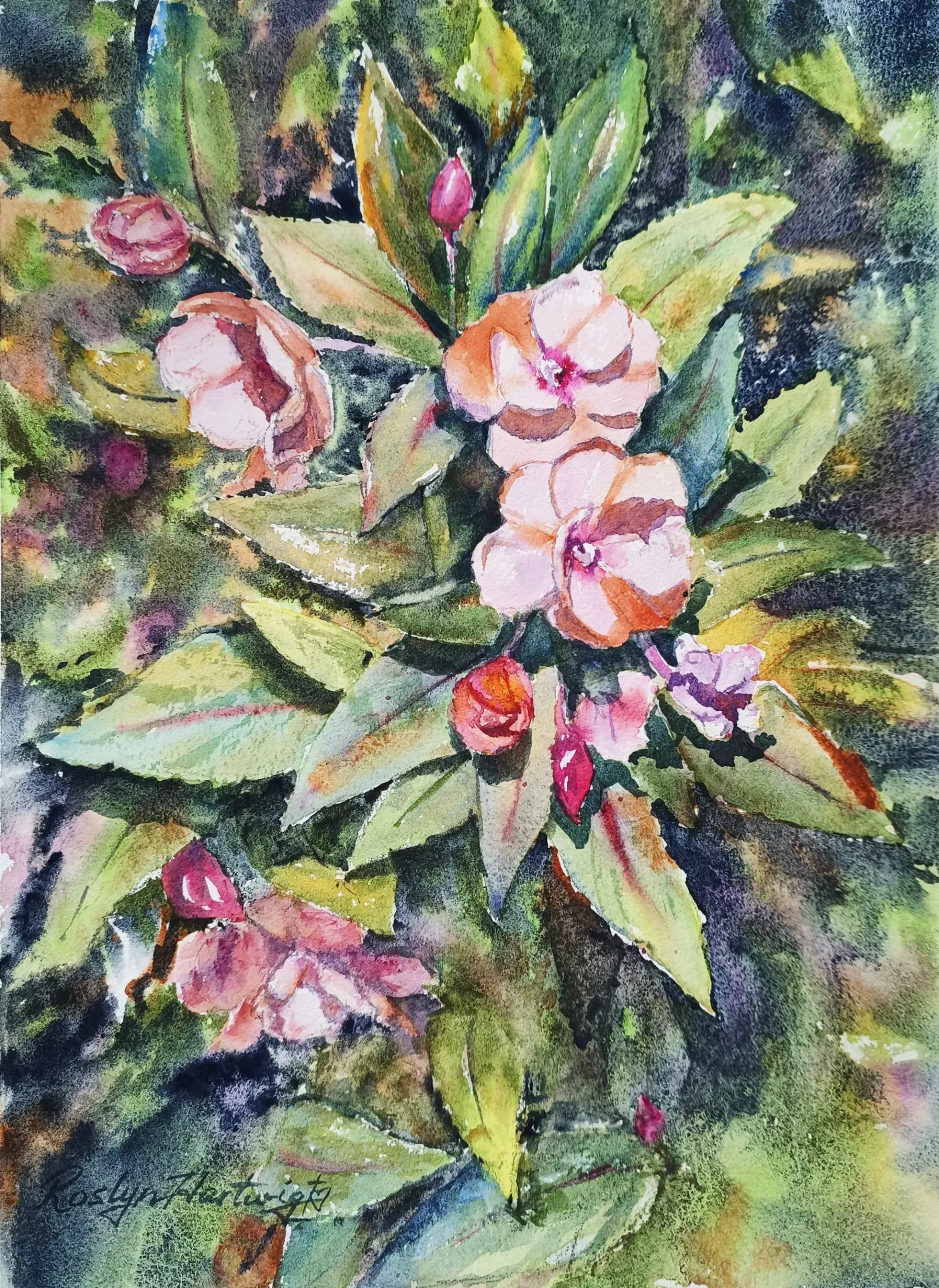 Pink Impatiens in dappled Green