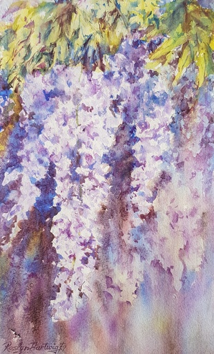 Wisteria