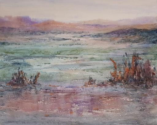 Desert Rain