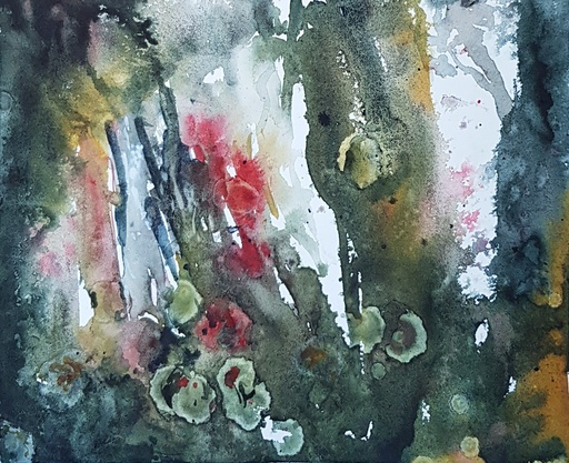 At the Forest Floor