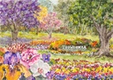 'Essence of Toowoomba' Pack 1 - Gardens Post Cards