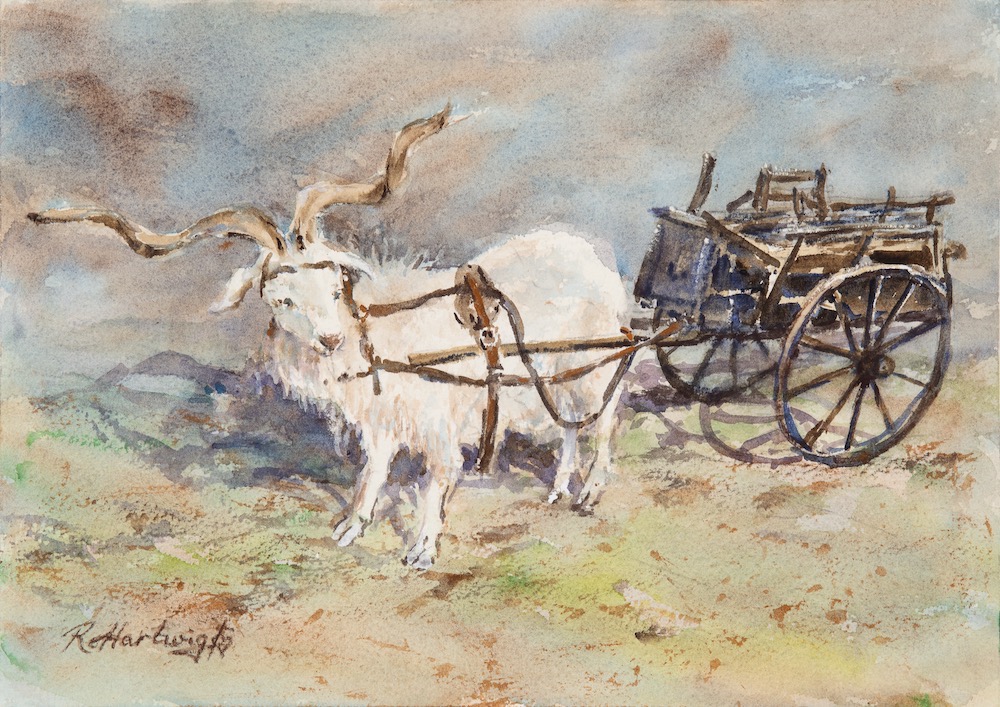 [EOT11A4] 'Cobb & Co - Goat Cart' - Print #11 (A4 Print)