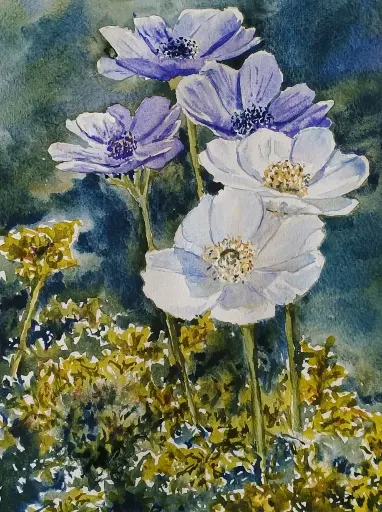 Anemones